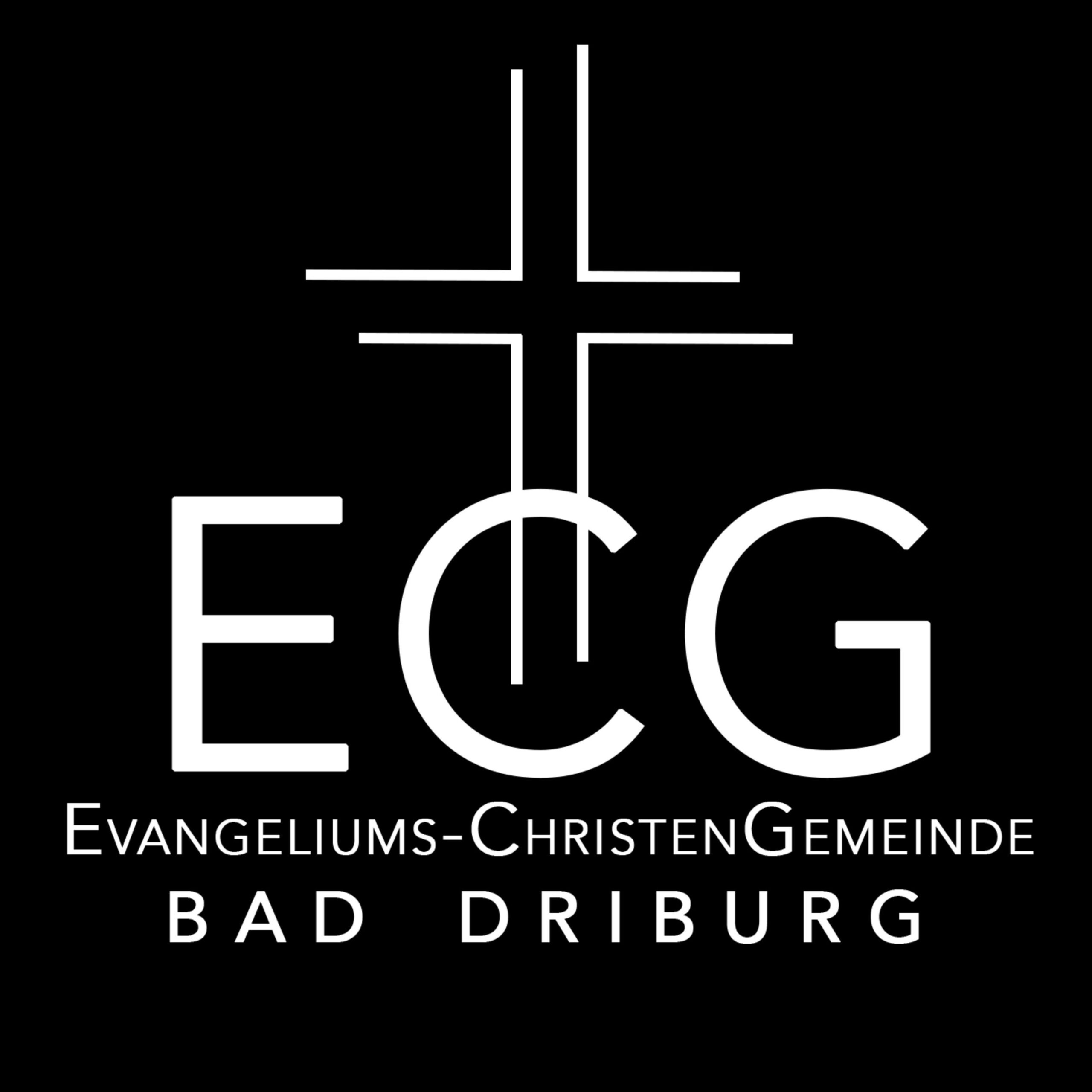 ECG Bad Driburg Podcast podcast artwork